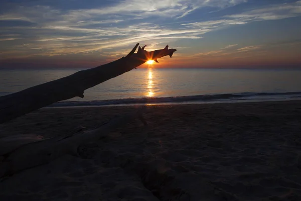 Zachód słońca na plaży Higbee pod Driftwood — Zdjęcie stockowe