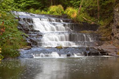 Orta katman Myosotis Şelalesi