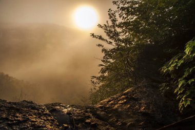 Thatcher Park'ta sisli gündoğumu