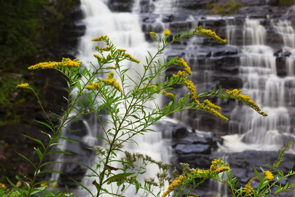 Widok z boku z Beecher Creek Falls — Zdjęcie stockowe