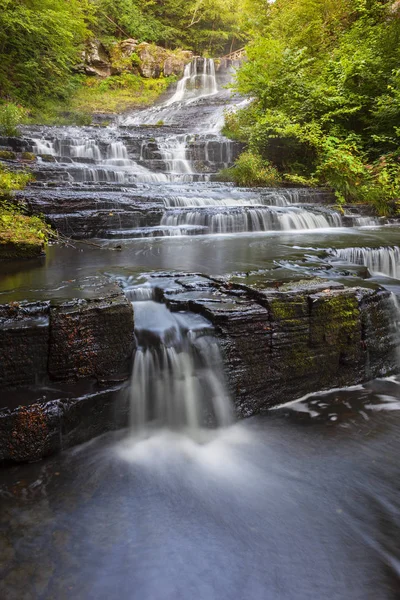 Su akan aşağı Myosotis Falls