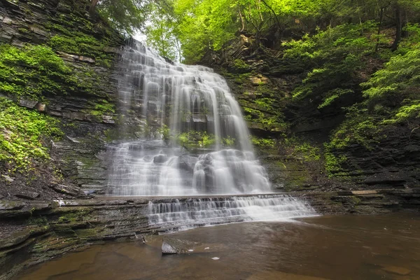 Livello medio a Myosotis Falls — Foto Stock