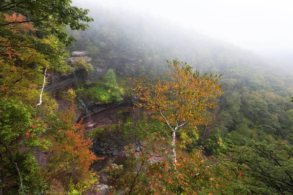 Quedas Foggy Kaaterskill — Fotografia de Stock