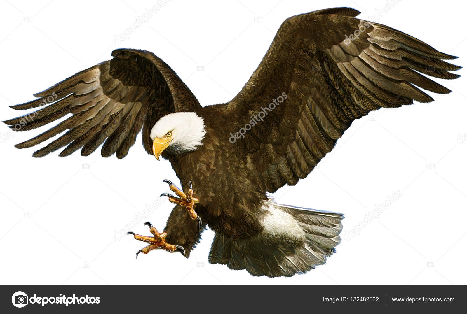 Eagle Claw Images – Browse 65 Stock Photos, Vectors, and Video