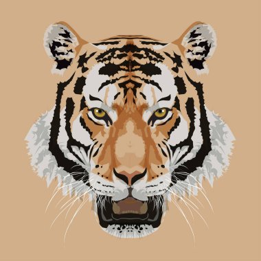 Kaplan Başı Vektör illüstrasyonu.