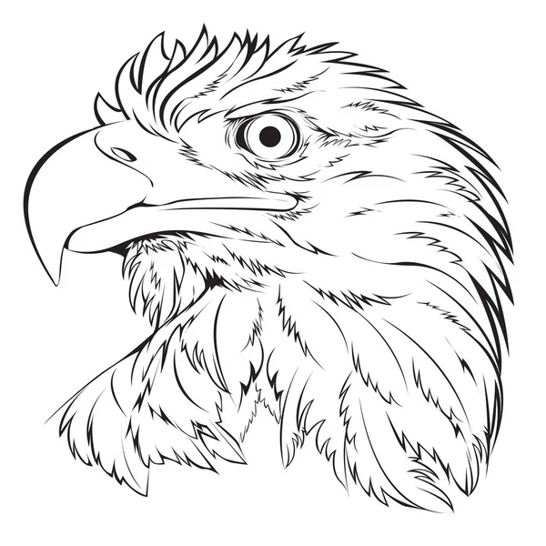 Weißkopfseeadler Hand Zeichnen Schwarze Linie Auf Weißem Hintergrund Vektor Illustration — Stockvektor