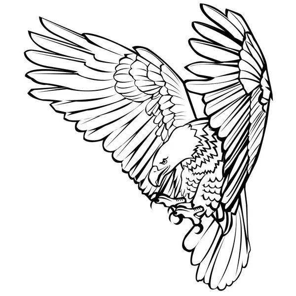 How to draw a bullfinch 100 How to draw a bullfinch 12