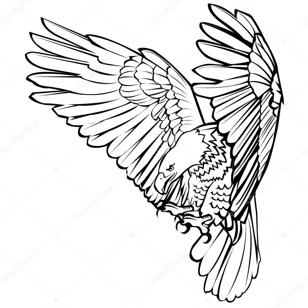 Bald eagle attack swoop landing hand draw black line on white background vector illustration.