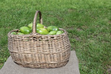 Bir tablo açık havada üzerinde gerdanlı sepet içinde yalan yeşil domates