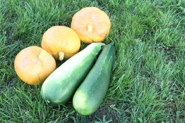 Reife Kürbisse und Gemüsemark auf einem Gras im Garten — Stockfoto