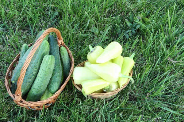 Los pepinos y el pimiento en las cestas sobre la hierba en el jardín —  Fotos de Stock