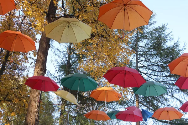 The color umbrellas hanging among trees in the fall — Stock Photo, Image