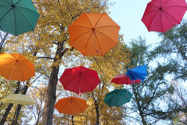 The color umbrellas hanging among trees in the fall — Stock Photo, Image