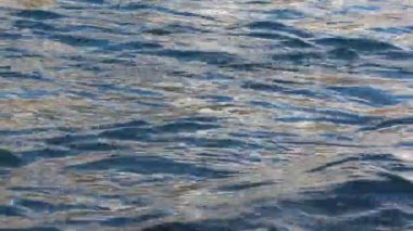 Su şiddetle Bahar, Altay, Rusya Katun nehre akıyor  