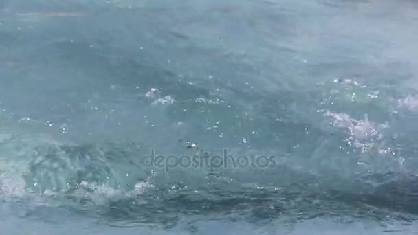 春のカトゥニ川の氷の表面を流れる水 — ストック動画
