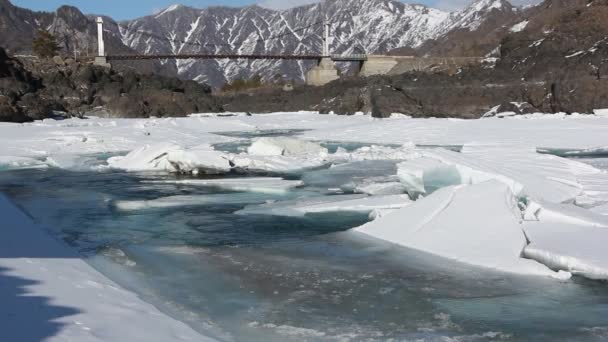 Deriva de hielo en el río Katun turquesa en la primavera cerca del puente Oroktoysky, Altai, Rusia — Vídeos de Stock