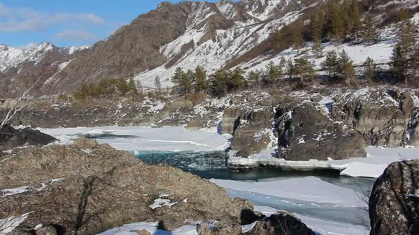 Drift op de turquoise rivier ijs in het voorjaar, Katun rivier, Altai, Rusland — Stockvideo