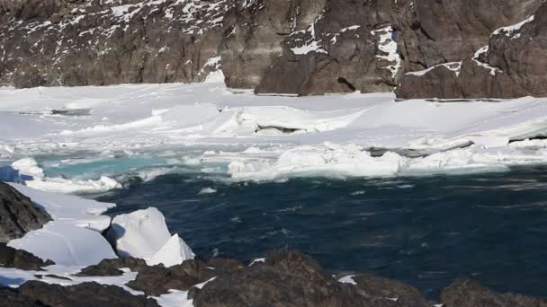 Eau haute sur la rivière au début du printemps — Video