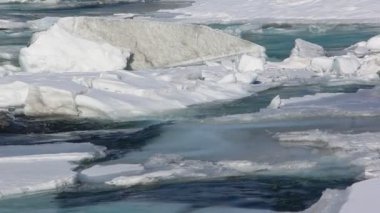Erken ilkbaharda, Katun nehir, Altay, Rusya nehirde çözdürme buz 