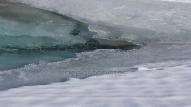 Erken ilkbaharda, Katun nehir, Altay, Rusya nehirde çözdürme buz 