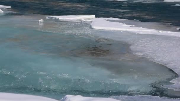 Dezghețarea gheții pe râu la începutul primăverii, râul Katun, Altai, Rusia — Videoclip de stoc