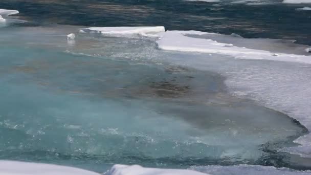 Ghiaccio scongelamento del fiume all'inizio della primavera, Katun River, Altai, Russia — Video Stock