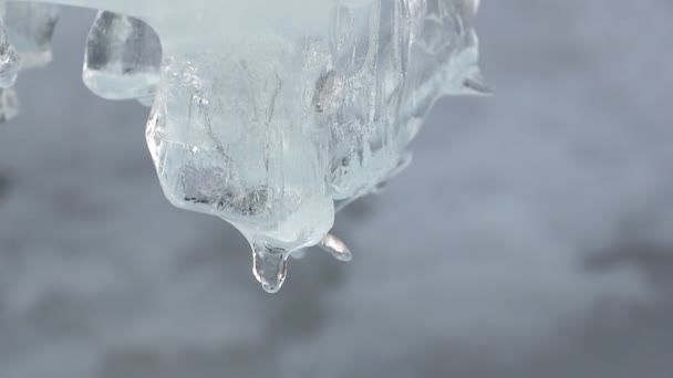 Eiszapfen auf Eis des auftauenden Flusses im Frühling — Stockvideo