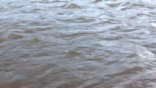Voda, která je prudce tekoucí řeky na jaře — Stock video