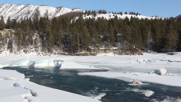 Dégel de la glace sur la rivière au début du printemps — Video