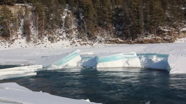 Bir nehir üzerinde erken ilkbaharda çözdürme buz — Stok video