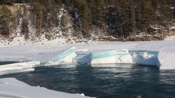 Ice thawing of on the river in the early spring — Stock Video