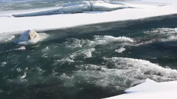 Flujo de agua en el río entre el hielo descongelado en la primavera — Vídeos de Stock