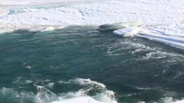 Débit d'eau dans la rivière parmi la glace dégelante au printemps — Video