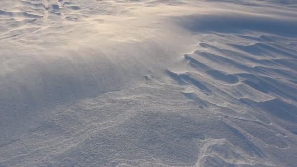 Снігопад на сніговому тлі замерзлої поверхні річки в сутінках — стокове відео