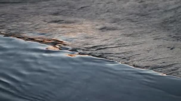 Поток воды в реке на закате — стоковое видео