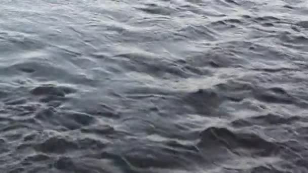 夕暮れ時、川の水の流れ — ストック動画