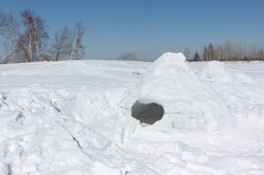 Igloo kışın kar glade üzerinde 