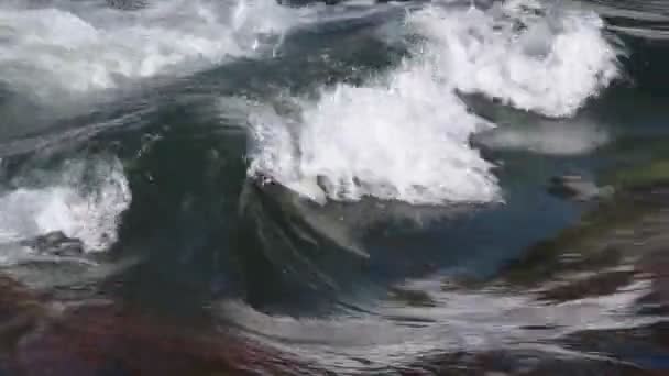 Eau qui coule dans la rivière au printemps — Video