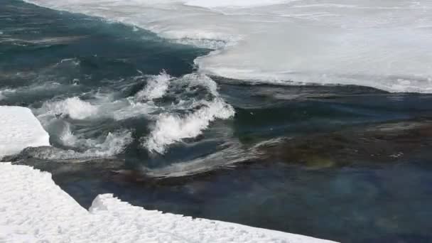 Água que flui no rio na primavera — Vídeo de Stock
