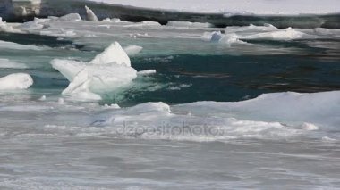 Buz erimesi nehirde Bahar, Katun nehir, Altay, Rusya Federasyonu 