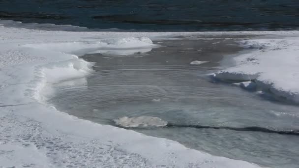 Fonte des glaces dans l'estuaire de la rivière Katun, rivière Ursul, Altaï, Russie 
