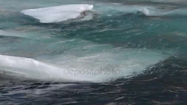 El hielo se derrite en el río en la primavera, río Katun, Altai, Rusia — Vídeo de stock