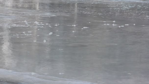 Water flowing through the melting ice surface of the river, Katun River, Altai, Russia — Stock Video