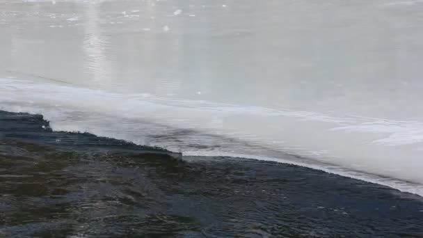 Agua que fluye a través de la superficie de hielo que se derrite del río, río Katun, Altai, Rusia — Vídeos de Stock