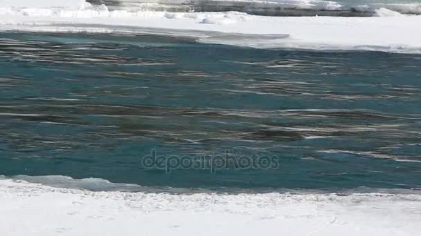 Río que fluye entre el hielo que se derrite, río Katun, Altai, Rusia — Vídeos de Stock