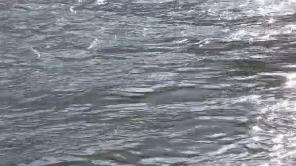 Вода плавно течет по реке — стоковое видео