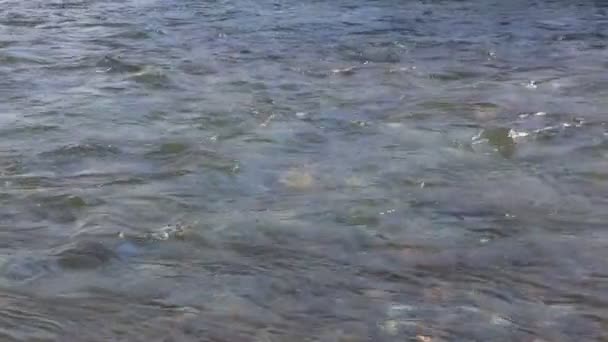 Вода плавно течет по реке — стоковое видео