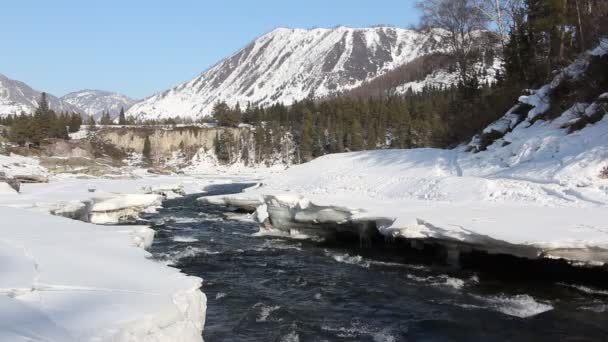 Agua que fluye en el río en primavera, río Ursul, Altai, Rusia — Vídeo de stock