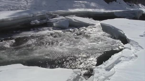 Água que flui no rio na primavera — Vídeo de Stock