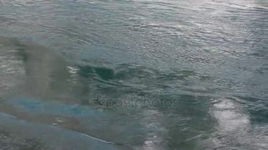 Baharda nehirde akan su